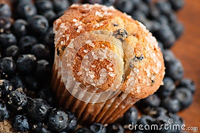 Blueberry Muffin Stock Photo