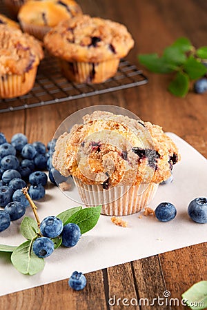 Blueberry muffins Stock Photo