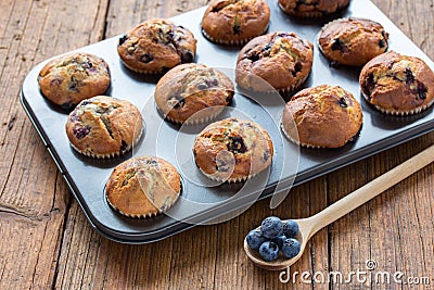 Blueberry muffins Stock Photo