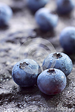 Blueberry (Northern Highbush Blueberry) fruits Stock Photo