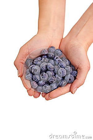 Blueberry offering. Cropped studio shot of a bunch of blueberries in a persons cupped hands. Stock Photo