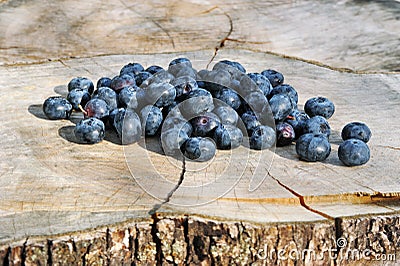 Blueberry Stock Photo