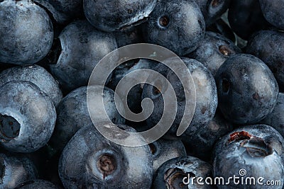 Blueberry texture closeup.Berries and harvesting, background.macro Stock Photo