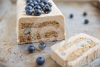 Blueberry Vanilla Semifreddo Stock Photo