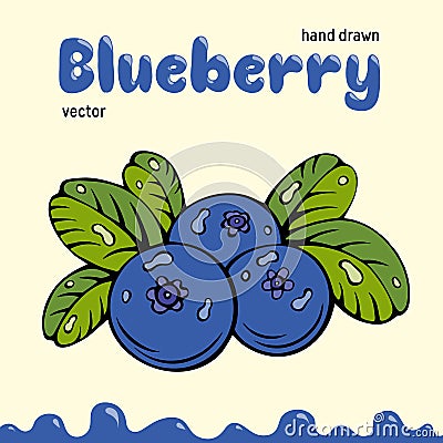 Blueberry vector illustration, berries images. Doodle Blueberry vector illustration in blue and green color. Blueberry Vector Illustration