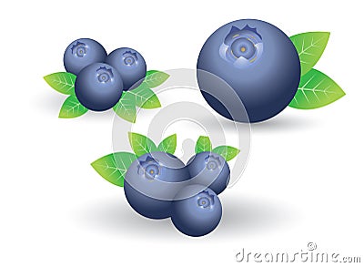 Blueberry vector Vector Illustration