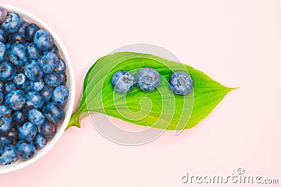 Blueberry. view from above. place for an inscription. healthy berries Stock Photo