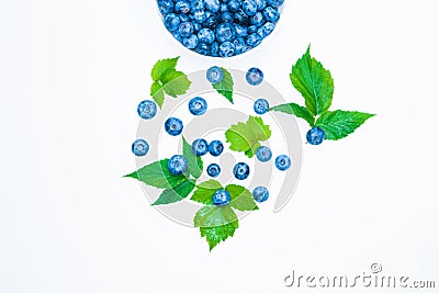 Blueberry. view from above. place for an inscription. healthy berries Stock Photo