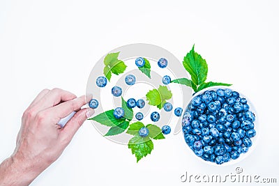Blueberry. view from above. place for an inscription. healthy berries Stock Photo