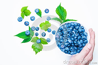 Blueberry. view from above. place for an inscription. healthy berries Stock Photo