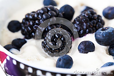 Blueberry with yogurt Stock Photo