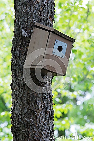 Bluebird box on tree Stock Photo