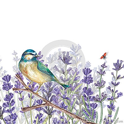 A bluebird is sitting on a branch against a background of lavender flowers. Watercolor illustration in the Provencal style. Cartoon Illustration