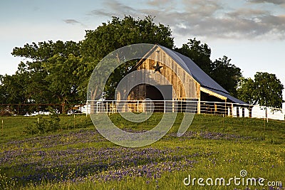 Bluebonnet Trail Barn Near Ennis, Texas Stock Photo