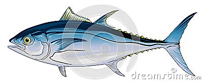 Bluefin Tuna Vector Illustration