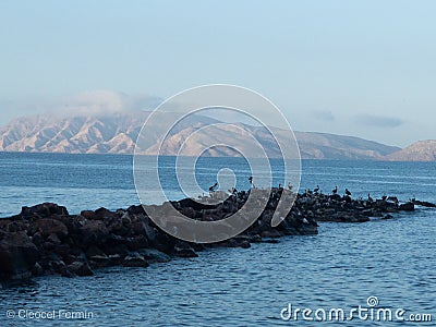 Blues and beautiful escene in the beach Stock Photo