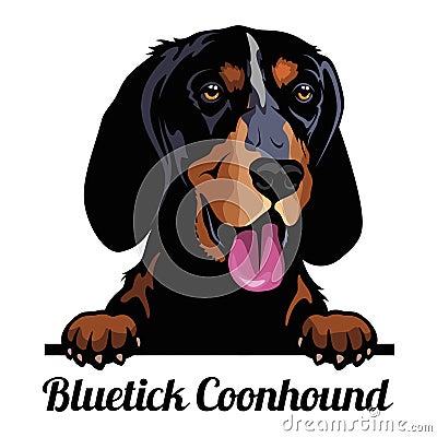 Bluetick Coonhound - Color Peeking Dogs - breed face head isolated on white Vector Illustration
