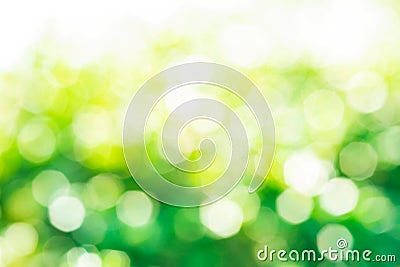 Blur of abstract green bokeh from tree/garden background. Stock Photo