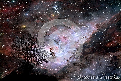 blur galaxy on night cloud sunset sky silhouette branch and tree Stock Photo