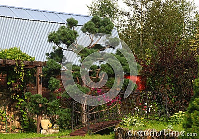 Blur Landscape in the home garden. Young pine-tree and garden path. The concept of landscaping design. Soft focus image. Topiary Stock Photo