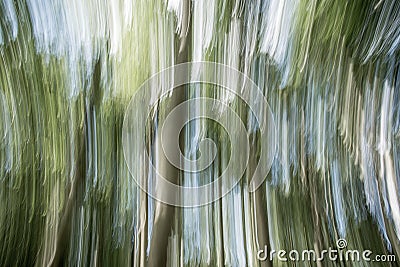 Blur nature green park with bokeh sun light abstract background. Copy space of travel adventure and environment concept. Vintage t Stock Photo