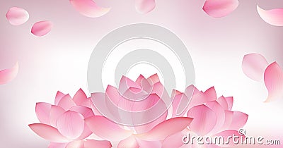 Blur pink background with pink petal of lotus Vector Illustration