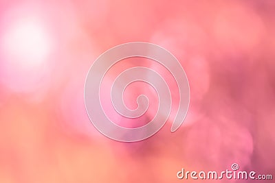 Blur pink flower background Stock Photo