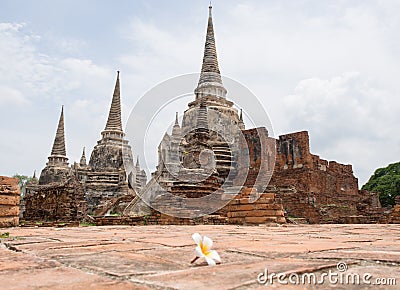 Blur Plumeria Foreground Historic Temple In World Heritage City, Ayuddhaya. Stock Photo