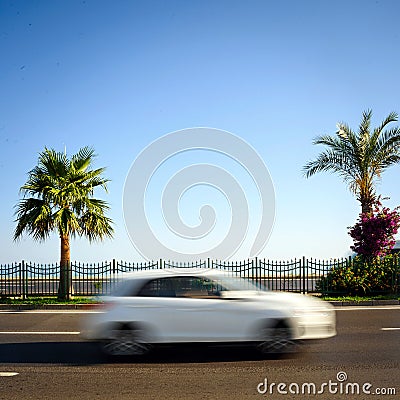 Car drives an empty road palm tree on background Stock Photo