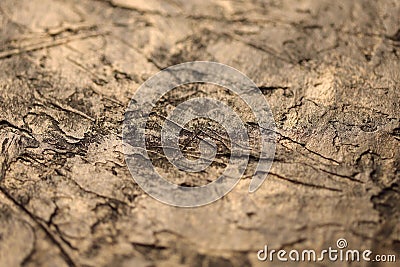 Blurred abstract background texture of the old surface color of copper. Stock Photo