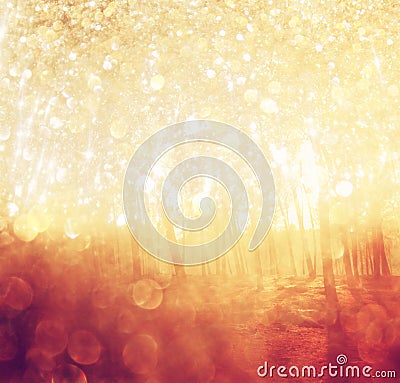 Blurred abstract photo of light burst among trees Stock Photo