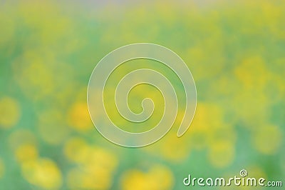 Blurred abstract yellow-green background. Spring background. Stock Photo