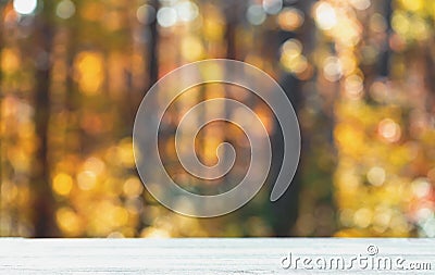 Blurred autumn forest background Stock Photo