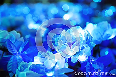 Blurred of blue flower with round shape illuminated LED lighting Stock Photo