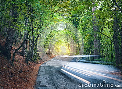 Blurred car going mountain road in summer forest at sunset Stock Photo