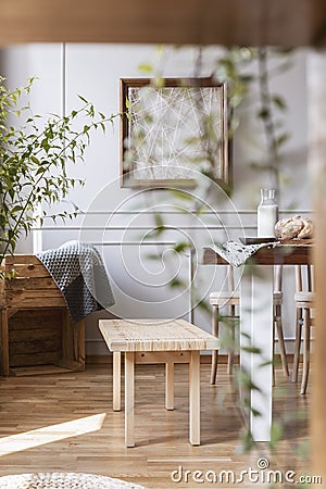Blurred close-up of a plant with a wooden bench in the background in a rustical daily room interior. Real photo Stock Photo
