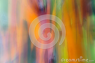 Blurred Colourful Background Rainbow Eucalyptus Stock Photo