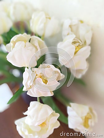 Blurred delicate bouquet of flowers. Stock Photo