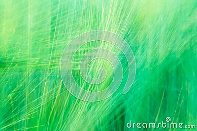 Blurred green abstract background with a predominance of lines Stock Photo