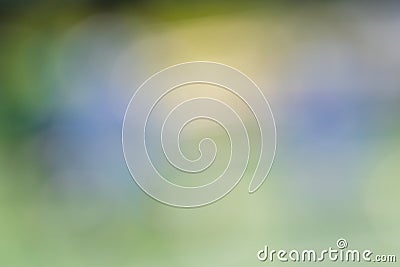 Blurred greens, blues, and yellows as a background Stock Photo