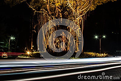 Blurred motion of a ray of light on the road next to the chimerical Indonesian tree. Interesting and abstract lights in Stock Photo