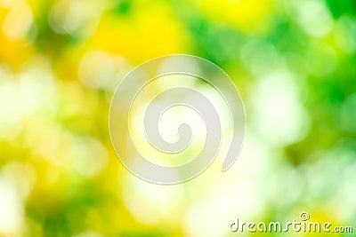 Blurred nature Stock Photo