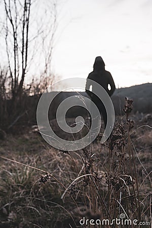 A blurred out of focus edit. A moody hooded figure, standing in the countryside looking at the evening sky. With a vertical Stock Photo