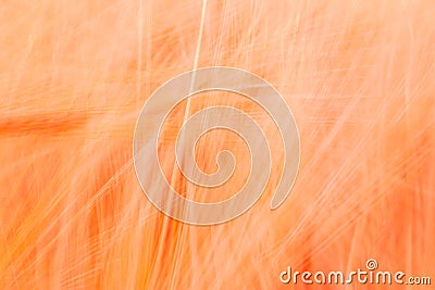 Blurred red abstract background with a predominance of lines Stock Photo