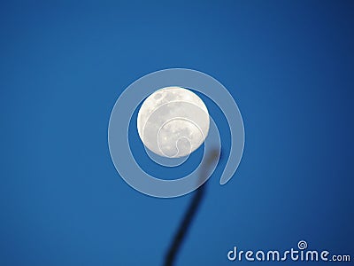 Blurred shadow of tree branch in front of full moon in the daytime. Against the blue sky background. Abstract background. Stock Photo