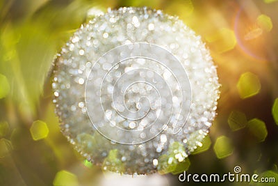 Blurred shot of an glittering ball Stock Photo