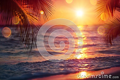 Blurred Sunset On Sea With Palm Leaves Stock Photo