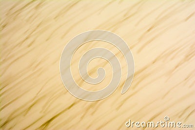 Blurred texture polyester foam consisting of white and black balls, motion effect, abstract background Stock Photo
