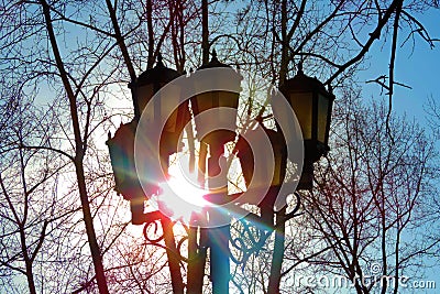 Blurred view street lamp under the blue sky and white clouds, sunlight and glare, black silhouettes of tree branches, street Stock Photo