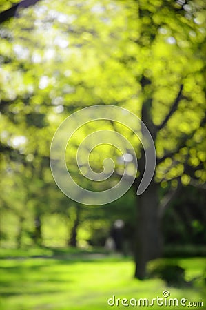 Blurry background spring park Stock Photo